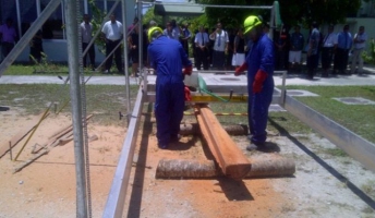 FAO Helps Kiribati Create New Timber Resource And Economic Opportunities